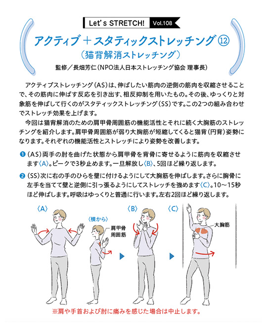 アクティブストレッチング（AS）は、伸ばしたい筋肉の逆側の筋肉を収縮させることで、その筋肉に伸ばす反応を引き出す、相反抑制を用いたもの。その後、ゆっくりと対象筋を伸ばして行くのがスタティックストレッチング（SS）です。この2つの組み合わせでストレッチ効果を上げます。
今回は猫背解消のための肩甲骨周囲筋の機能活性とそれに続く大胸筋のストレッチングを紹介します。肩甲骨周囲筋が弱り大胸筋が短縮してくると猫背（円背）姿勢になります。それぞれの機能活性とストレッチにより姿勢を改善します。